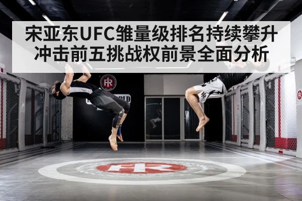 mixed martial arts training gym | qyh